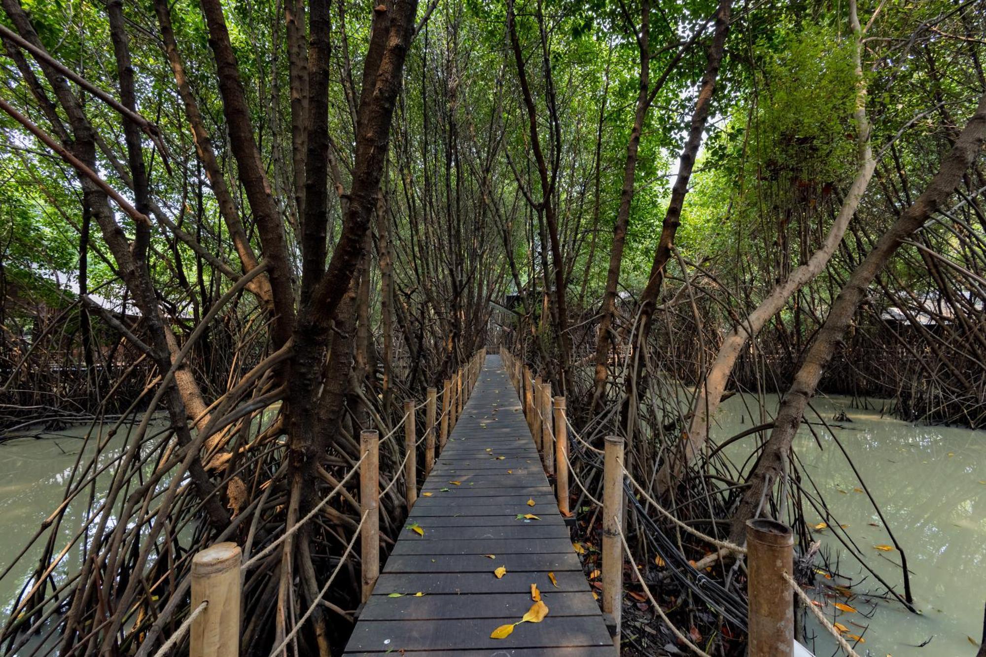 Reddoorz Resort @ Taman Wisata Mangrove Джакарта Екстериор снимка