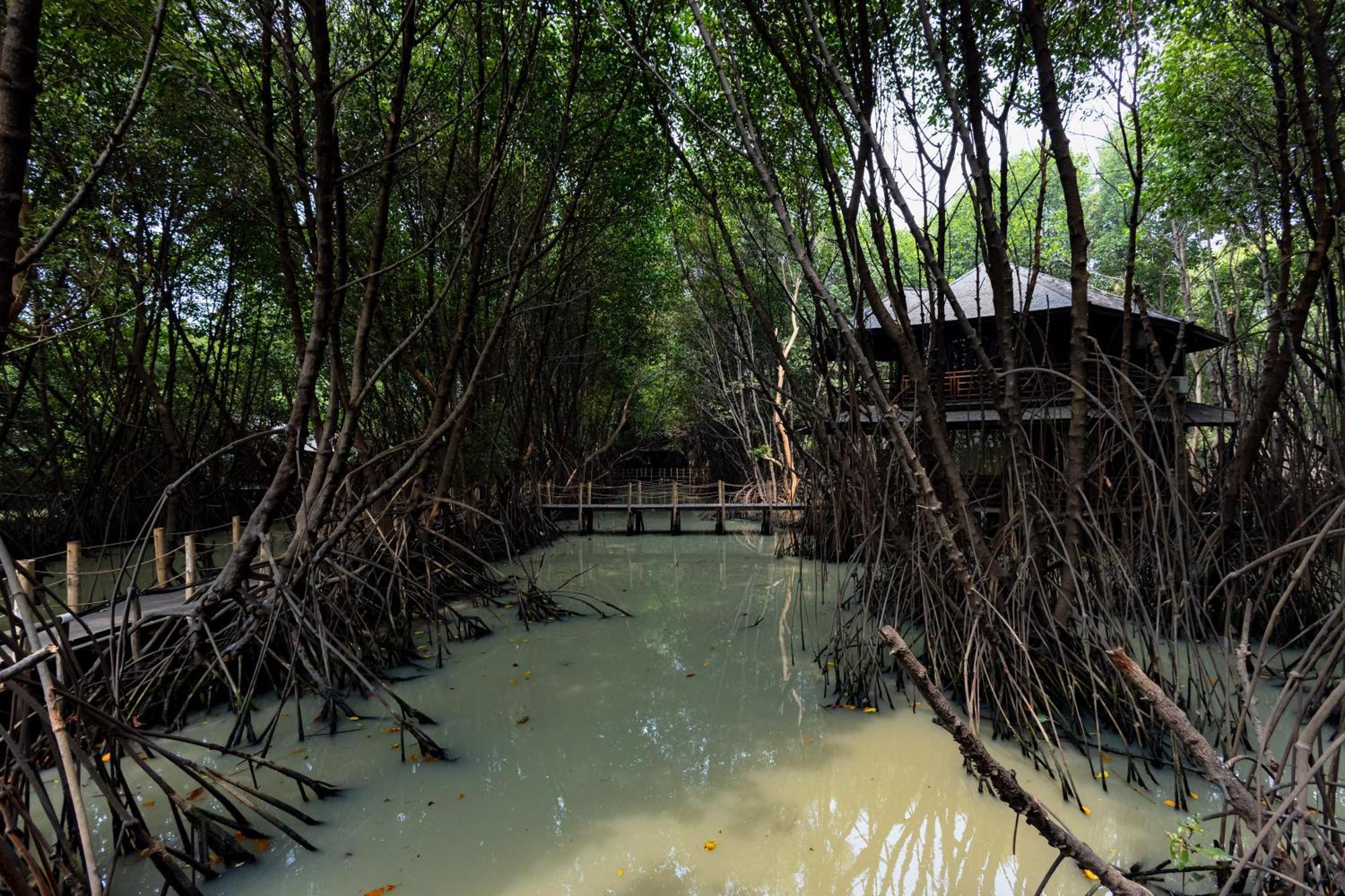 Reddoorz Resort @ Taman Wisata Mangrove Джакарта Екстериор снимка